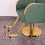 Salon Styling Chair 4